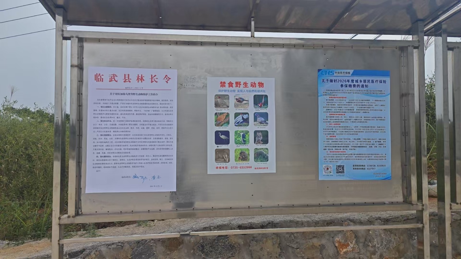 麦市镇：多措并举“四到位”护候鸟生态家园