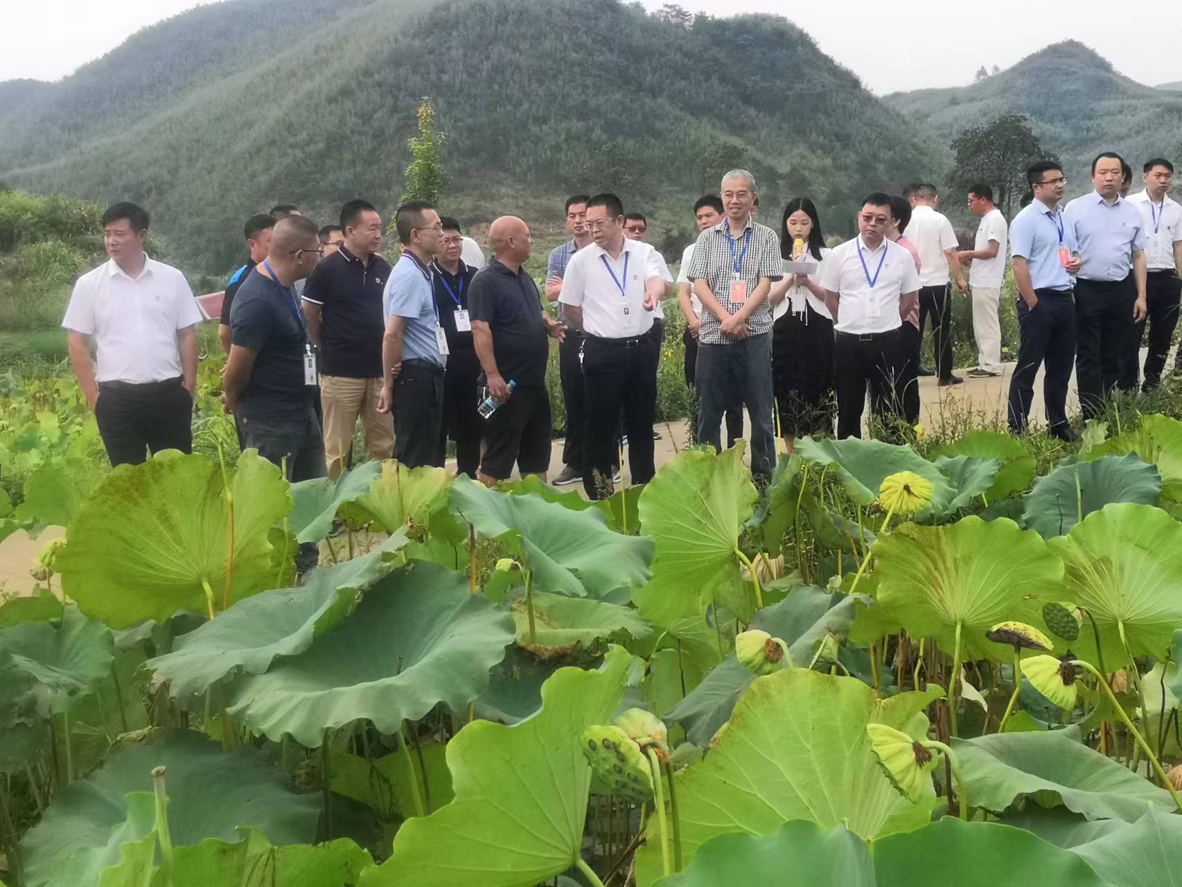 临武人大：绷紧监督弦！严把农副产品质量安全关