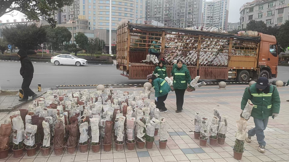 新春走基层｜城管“匠心”增年味