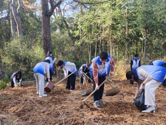 临武县医保局：党建引领添新绿 凝心聚力担使命