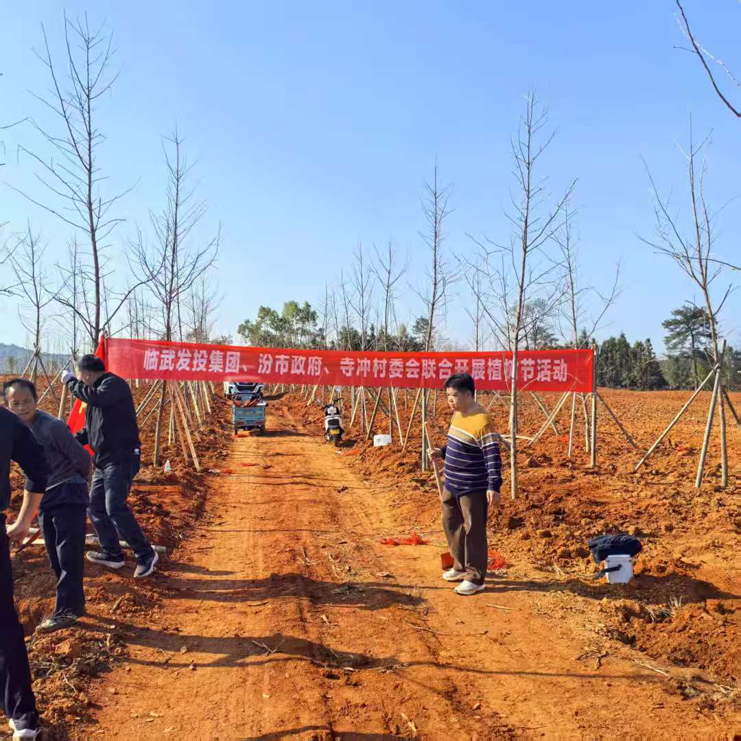 图集｜汾市镇：忙趁春风植新绿