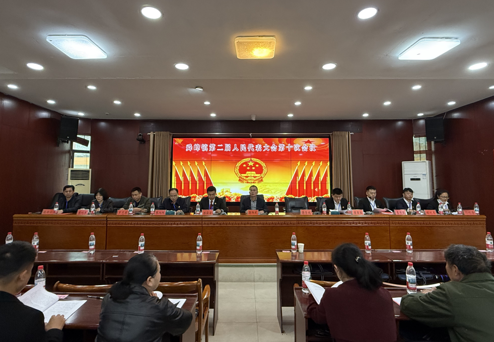 临武县舜峰镇第二届人民代表大会第十次会议召开