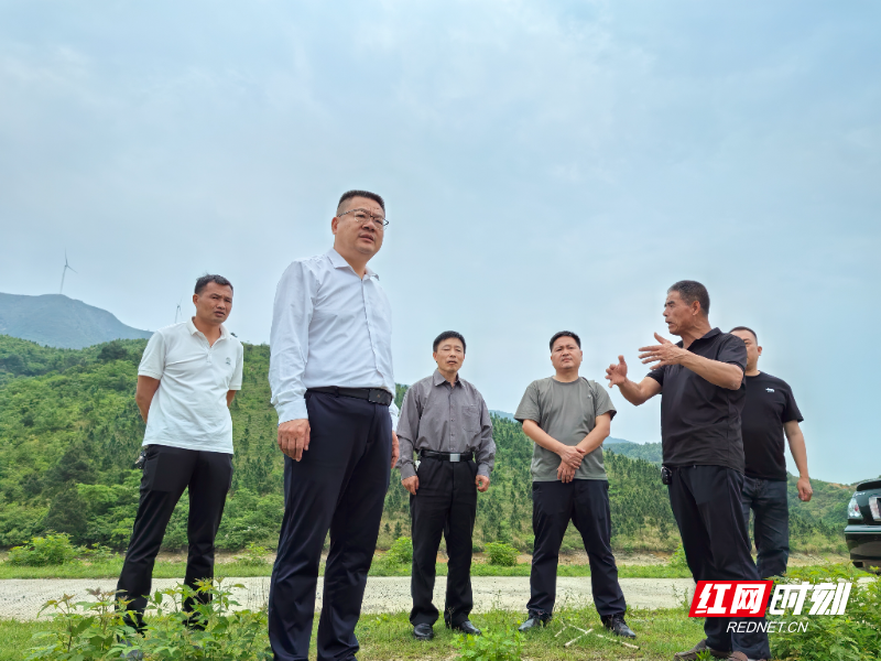 【红网时刻】临武人大：多维监督力促农村集体经济薄弱村消除