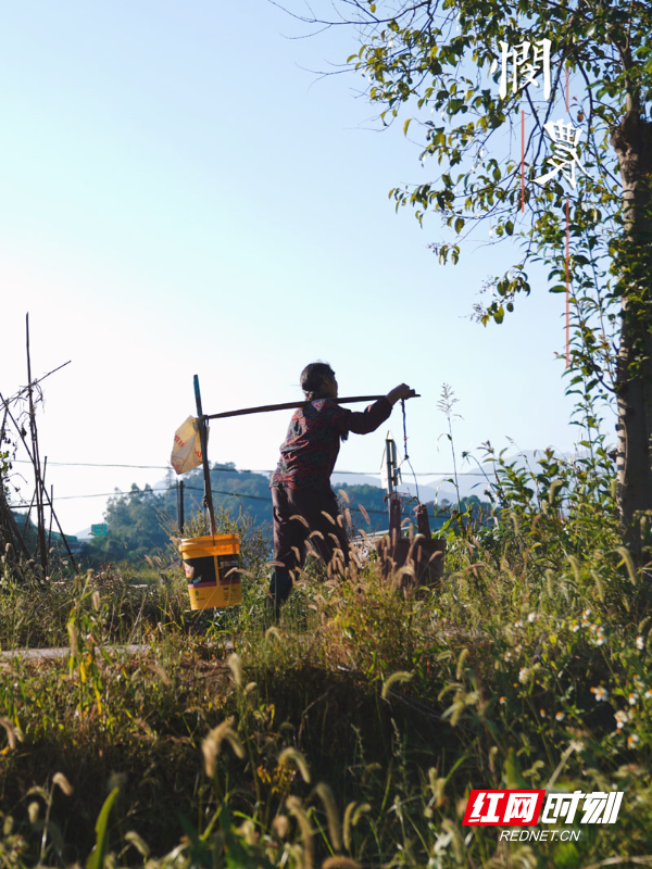 【红网时刻】组图 | 情不情“我”悯农