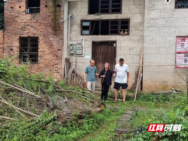 【红网时刻】临武：逆风而行！全力转移战台风